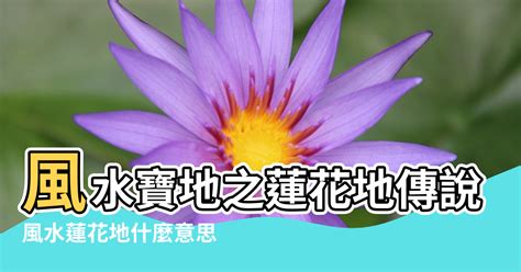 蓮花風水